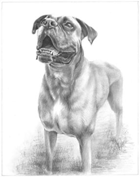 Hand Drawn Pencil Portraits from Photos | Pencil Portrait Drawing | Pencil Sketch Artists