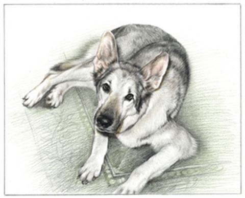 Hand Drawn Colored Pencil Portraits from Photos | Colored Pencil Drawings from Photos