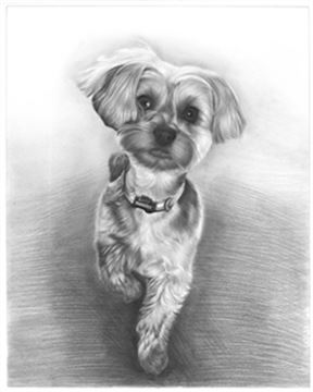 Hand Drawn Pencil Portraits from Photos | Pencil Portrait Drawing | Pencil Sketch Artists