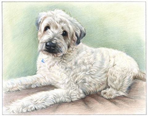 Hand Drawn Colored Pencil Portraits from Photos | Colored Pencil Drawings from Photos