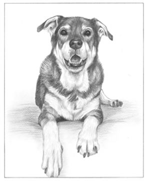 Hand Drawn Pencil Portraits from Photos | Pencil Portrait Drawing | Pencil Sketch Artists