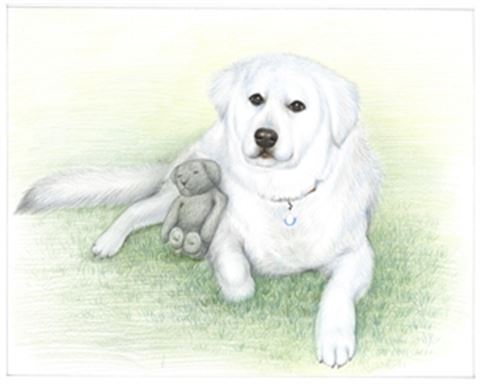 Hand Drawn Colored Pencil Portraits from Photos | Colored Pencil Drawings from Photos