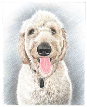 Hand Drawn Colored Pencil Portraits from Photos | Colored Pencil Drawings from Photos