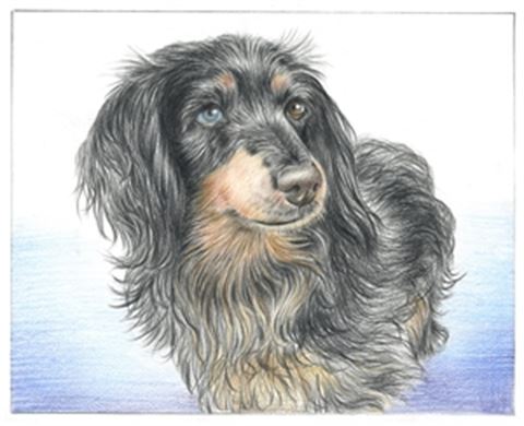 Hand Drawn Colored Pencil Portraits from Photos | Colored Pencil Drawings from Photos
