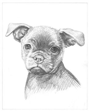Hand Drawn Pencil Portraits from Photos | Pencil Portrait Drawing | Pencil Sketch Artists