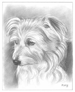 Hand Drawn Pencil Portraits from Photos | Pencil Portrait Drawing | Pencil Sketch Artists