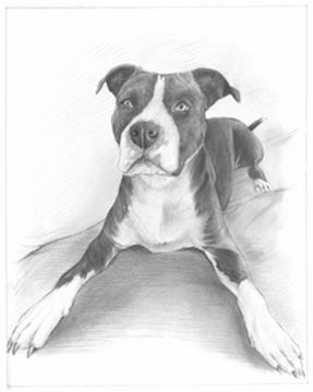Hand Drawn Pencil Portraits from Photos | Pencil Portrait Drawing | Pencil Sketch Artists