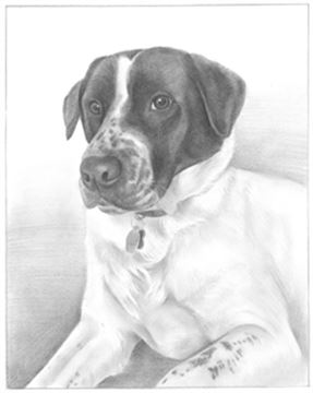Hand Drawn Pencil Portraits from Photos | Pencil Portrait Drawing | Pencil Sketch Artists