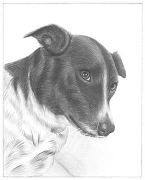 Hand Drawn Pencil Portraits from Photos | Pencil Portrait Drawing | Pencil Sketch Artists