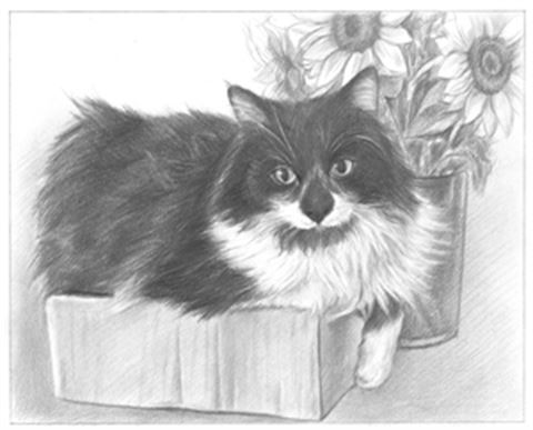 Hand Drawn Pencil Portraits from Photos | Pencil Portrait Drawing | Pencil Sketch Artists