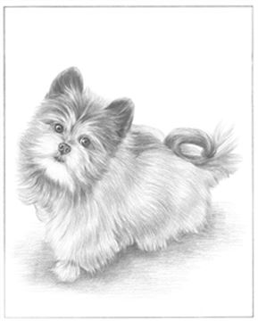 Hand Drawn Pencil Portraits from Photos | Pencil Portrait Drawing | Pencil Sketch Artists