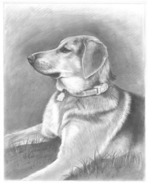 Hand Drawn Pencil Portraits from Photos | Pencil Portrait Drawing | Pencil Sketch Artists