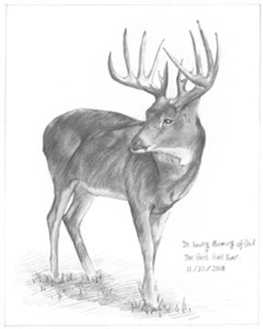 Hand Drawn Pencil Portraits from Photos | Pencil Portrait Drawing | Pencil Sketch Artists