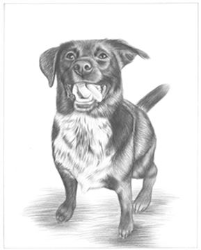 Hand Drawn Pencil Portraits from Photos | Pencil Portrait Drawing | Pencil Sketch Artists