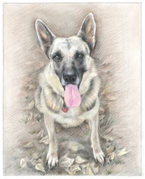 Hand Drawn Colored Pencil Portraits from Photos | Colored Pencil Drawings from Photos