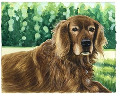 Hand-Painted Watercolor Portraits from Photos | Custom Watercolor Painting from Photo