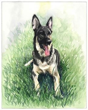 Hand-Painted Watercolor Portraits from Photos | Custom Watercolor Painting from Photo