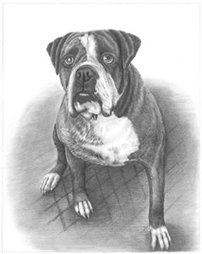 Hand Drawn Pencil Portraits from Photos | Pencil Portrait Drawing | Pencil Sketch Artists