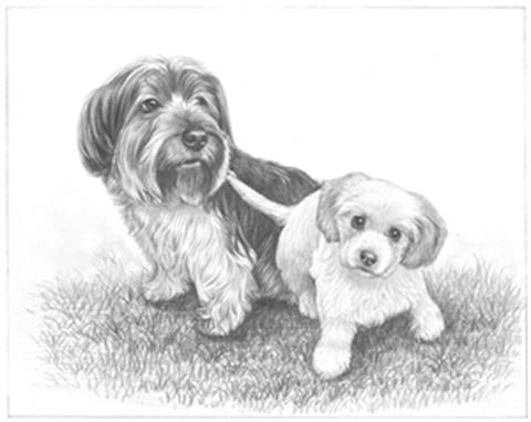 Hand Drawn Pencil Portraits from Photos | Pencil Portrait Drawing | Pencil Sketch Artists