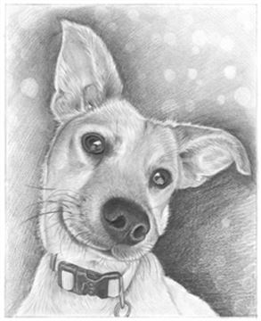 Hand Drawn Pencil Portraits from Photos | Pencil Portrait Drawing | Pencil Sketch Artists