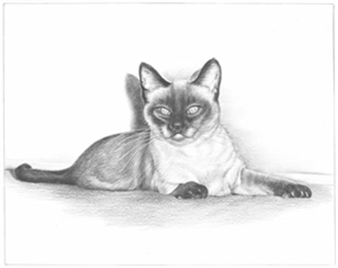 Hand Drawn Pencil Portraits from Photos | Pencil Portrait Drawing | Pencil Sketch Artists