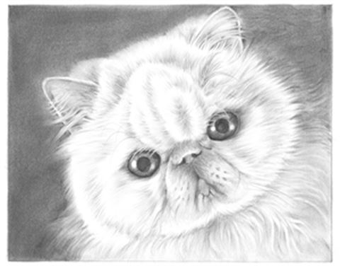Hand Drawn Pencil Portraits from Photos | Pencil Portrait Drawing | Pencil Sketch Artists