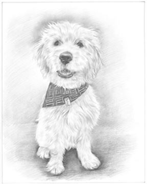 Hand Drawn Pencil Portraits from Photos | Pencil Portrait Drawing | Pencil Sketch Artists