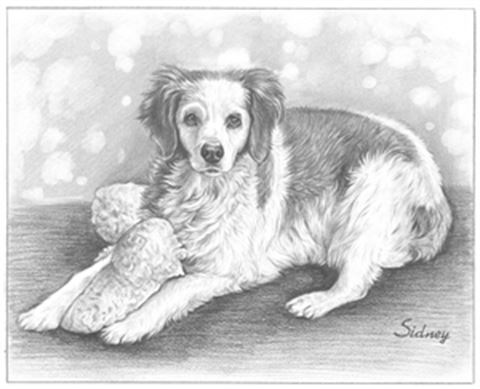 Hand Drawn Pencil Portraits from Photos | Pencil Portrait Drawing | Pencil Sketch Artists