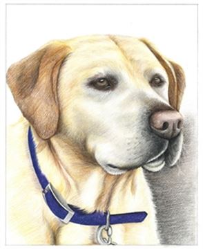 Hand Drawn Colored Pencil Portraits from Photos | Colored Pencil Drawings from Photos