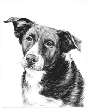 Hand Painted Ink Rendering Portraits from Photos