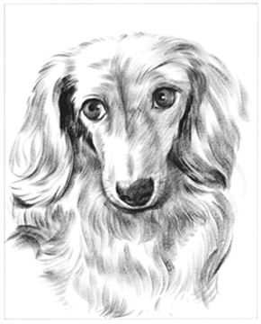 Hand Painted Ink Rendering Portraits from Photos