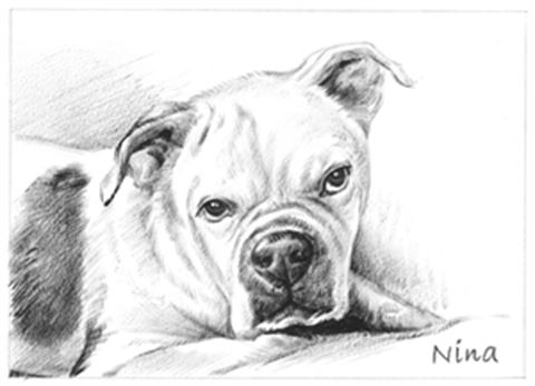 Hand Painted Ink Rendering Portraits from Photos