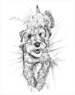 Hand Painted Ink Rendering Portraits from Photos