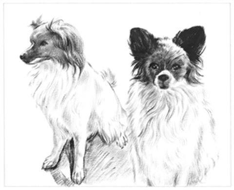 Hand Painted Ink Rendering Portraits from Photos