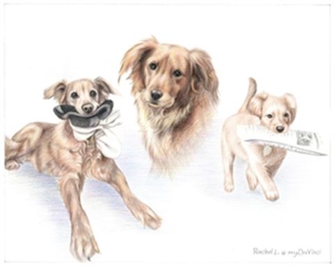 Hand Drawn Colored Pencil Portraits from Photos | Colored Pencil Drawings from Photos