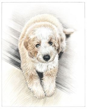 Hand Drawn Colored Pencil Portraits from Photos | Colored Pencil Drawings from Photos