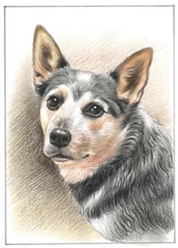 Hand Drawn Colored Pencil Portraits from Photos | Colored Pencil Drawings from Photos