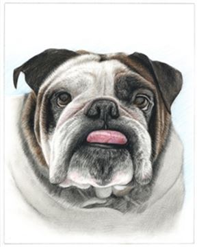 Hand Drawn Colored Pencil Portraits from Photos | Colored Pencil Drawings from Photos