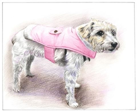 Hand Drawn Colored Pencil Portraits from Photos | Colored Pencil Drawings from Photos