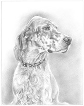 Hand Drawn Pencil Portraits from Photos | Pencil Portrait Drawing | Pencil Sketch Artists