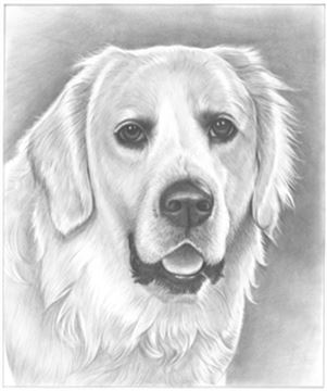 Hand Drawn Pencil Portraits from Photos | Pencil Portrait Drawing | Pencil Sketch Artists