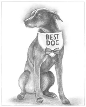 Hand Drawn Pencil Portraits from Photos | Pencil Portrait Drawing | Pencil Sketch Artists
