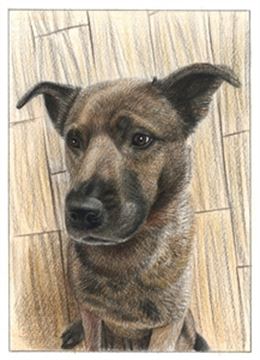 Hand Drawn Colored Pencil Portraits from Photos | Colored Pencil Drawings from Photos