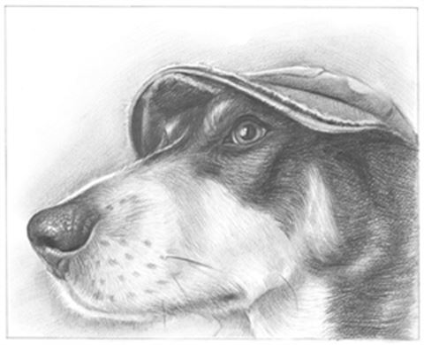 Hand Drawn Pencil Portraits from Photos | Pencil Portrait Drawing | Pencil Sketch Artists