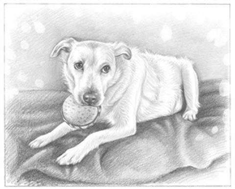 Hand Drawn Pencil Portraits from Photos | Pencil Portrait Drawing | Pencil Sketch Artists