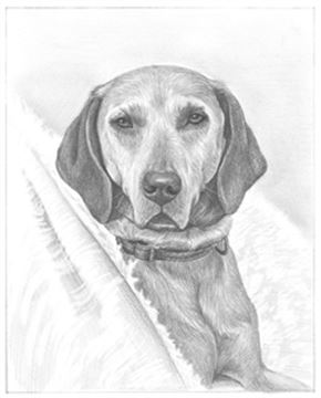 Hand Drawn Pencil Portraits from Photos | Pencil Portrait Drawing | Pencil Sketch Artists