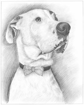 Hand Drawn Pencil Portraits from Photos | Pencil Portrait Drawing | Pencil Sketch Artists