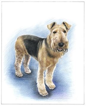 Hand Drawn Colored Pencil Portraits from Photos | Colored Pencil Drawings from Photos