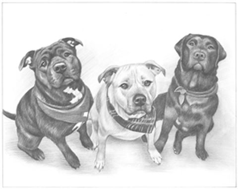 Hand Drawn Pencil Portraits from Photos | Pencil Portrait Drawing | Pencil Sketch Artists