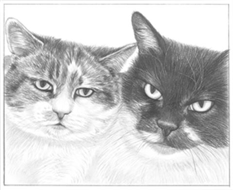 Hand Drawn Pencil Portraits from Photos | Pencil Portrait Drawing | Pencil Sketch Artists